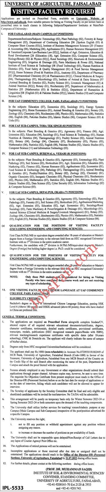 Visiting Faculty Jobs in University of Agriculture Faisalabad 2023 