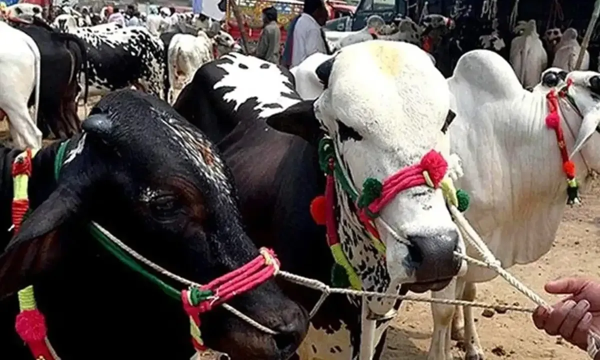 Eid ul Adha holidays 2025