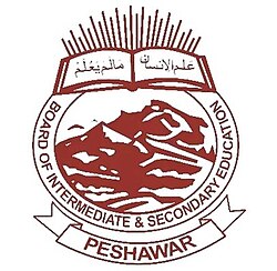 bise-peshawar-logo