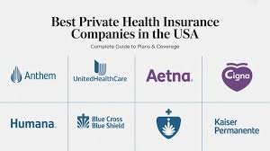Top 10 Health Insurance Providers in the USA for 2026